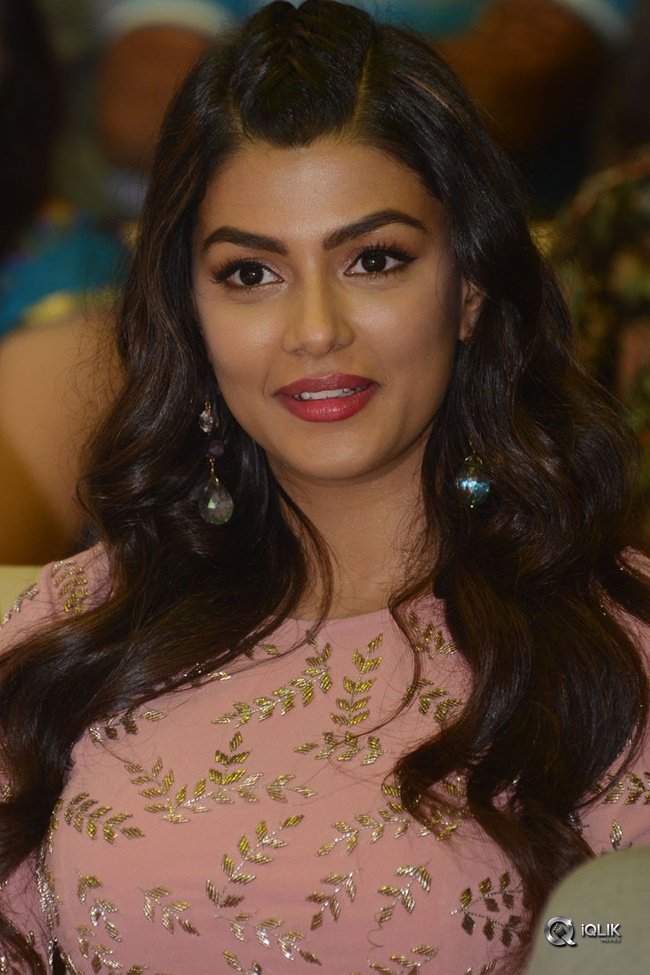 Anisha-Ambrose-At-Okkadu-Migiladu-Movie-Pre-Release-Function